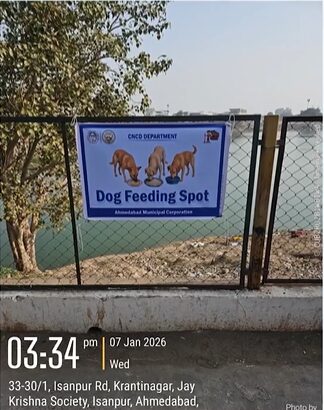 Ahmedabad Dog Feeding Ban